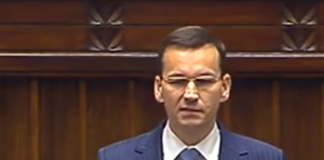 mateusz morawiecki.png